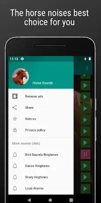 Horse Sounds and Ringtone free Screen Shot 4