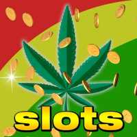 Vegas Weed Casino Farm Slots