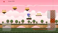 Super Sanic World Screen Shot 4