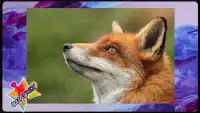 Jigsaw Puzzles Foxes Screen Shot 2