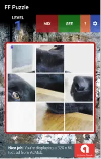 FF Puzzle Screen Shot 0