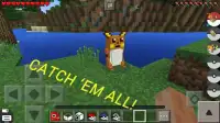 Perfect Pokémon Idea Minecraft Screen Shot 0