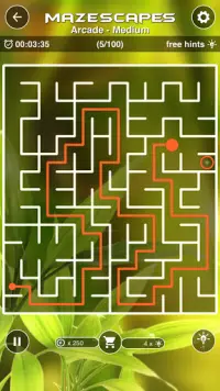 Mazescapes Amazing Maze Screen Shot 0