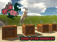 Wild Horse Hill Climb Sim 3D Screen Shot 6