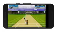 Cricket Mini Simulator Screen Shot 11