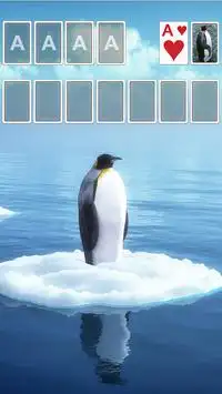 Solitaire Theme 🐧 Screen Shot 0