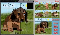 Magic Slide Puzzle Pets Screen Shot 3