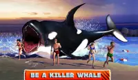 Killer Whale Beach Attack 3D Screen Shot 5