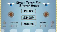 Don't Touch The Square Birds Screen Shot 0