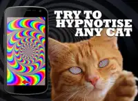 Cat Hypnosis Simulator Screen Shot 0