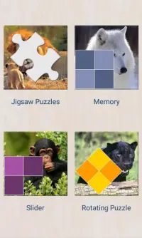 Play with animals Screen Shot 0