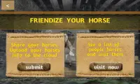 Tame your horse,pony & donkey Screen Shot 1