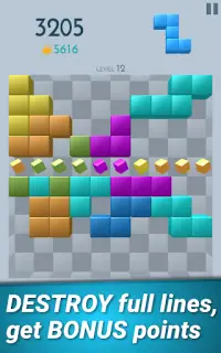 TetroCrate: Block Puzzle Screen Shot 9