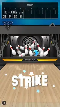 Bowling 3D Pro Screen Shot 1