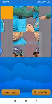 Cricket Puzzle Screen Shot 6