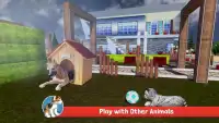 Cat Simulator Kitty 3D - FREE GAME Screen Shot 5