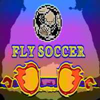 Fly Soccer