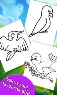 كتاب تلوين الطيور 2018! لعبة مجانية الطلاء Screen Shot 6