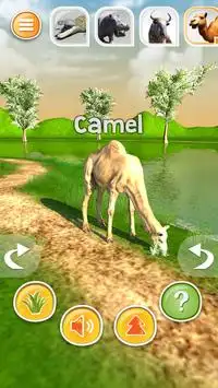 Animal Simulator 3D - Crocodile etc. Screen Shot 6