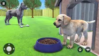 Puppy Pet Simulator Trò chơi Screen Shot 10