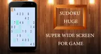 Sudoku Huge Screen Shot 2