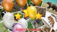 Animals for Kids Screen Shot 7