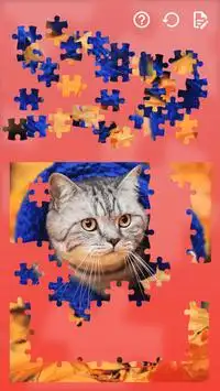 Jigsaw Puzzles Cats Screen Shot 2