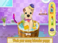 Cute Labrador Puppy Care: Dream Pet Friend Screen Shot 0