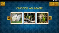 ZOO 5 GOLDEN JIGSAW PUZZLE (FREE) Screen Shot 2