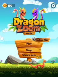 Dragon Zoom Screen Shot 4