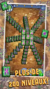 Mahjong: Puces Magiques Screen Shot 0