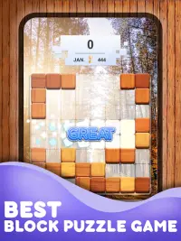 Wood Block Puzzle Game Screen Shot 6