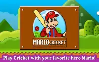 Mario Cricket World Screen Shot 0
