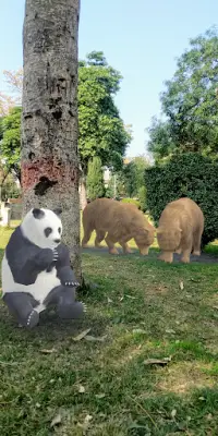 Augmented Reality - Bears in Real World Life Screen Shot 2
