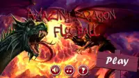 Amazing Dragon Fly Ball Screen Shot 3