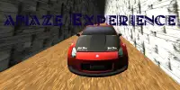 Real Car Stunts3D Screen Shot 3