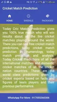 Cricket Match Prediction Screen Shot 0