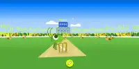 Doodle Cricket Screen Shot 2