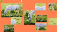 Horse Puzzle For Kids Screen Shot 2