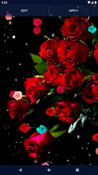 Red Rose 4K Live Wallpaper Screen Shot 7