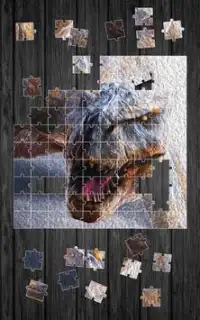 Dinozaury Laubzega Puzzle Screen Shot 5