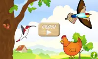 Birds Game for Toddlers Puzzle Screen Shot 0