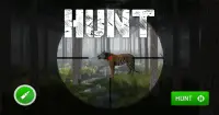 Animal Hunt Sniper Shooting 3D Screen Shot 3