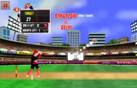 IPL cricket game : Mr IPL T20 Screen Shot 5
