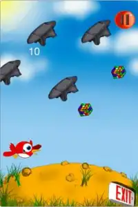 HummingBird Game Screen Shot 2