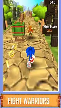Temple Sonic Run 3D Screen Shot 4