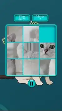 Cat Puzzle 2016 Screen Shot 1