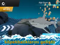 Balık Yarış - Okyanus Macera: Hayvan Hayatta kalma Screen Shot 3