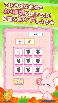 つぶラビ！〜かわいいうさぎの育成ゲーム Screen Shot 3