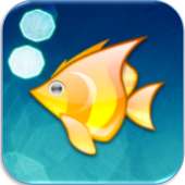 Crazy Fish Online Game